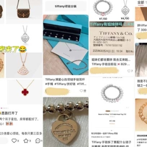 23个人拼一条Tiffany项链？正在年轻人中兴起的“拼好奢”，你怎么看