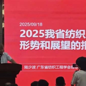 专家支招：以新质生产力破解纺织服装产业发展难题