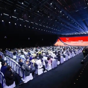 风起中原 潮向未来 2025中国国风时尚大会成功举办