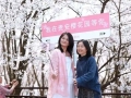 正是盛花期！中外游客纷纷点赞贵安樱花园浪漫花海