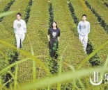 泉州举办全省首场“茶+时尚”跨界大秀