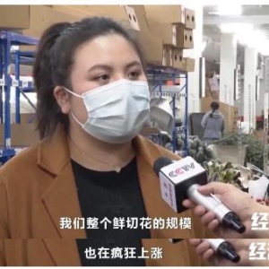 千亿市场大爆发！一年线上狂卖一亿枝！你情人节收的花，可能来自这→