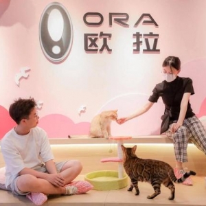专为女性护航，长城欧拉诠释“她生态”