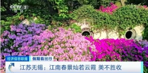 春季限定”浪漫！新疆郁金香花海迎客来 近郊游持续升温