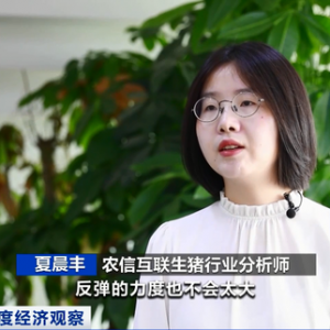西红柿、茄子便宜了！北京5月份超七成蔬菜降价，猪肉价格恢复正常