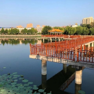 生活随想：快乐的人都是掌握了快乐打开方式的人