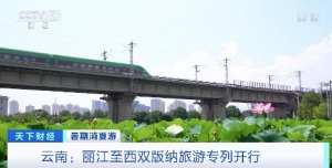 旅游专列来了！青海到西藏、丽江到西双版纳……都是黄金线路！