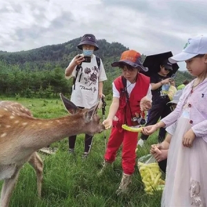 甘肃省文旅厅推出7大主题35条红色旅游精品线路