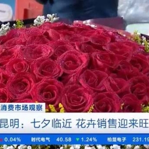 七夕临近，云南花卉销售火爆！玫瑰花每枝低至0.6元