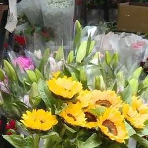 广西南宁：鲜花全线涨价，或将持续至春节！原因几何？
