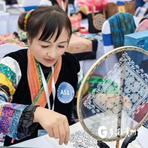「两会•前瞻」杨美代表：加强绣娘蜡染刺绣技能培训