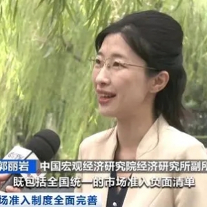 中央发文！大幅减少对经营主体准入限制，专家解读→