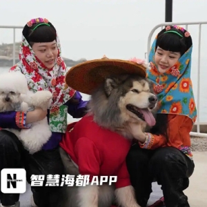 共话“它经济”，泉州时尚周宠物时尚发布秀在惠安举办
