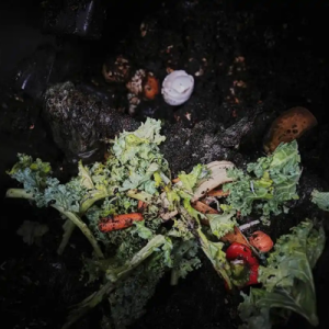 潮评丨零废之路道阻且长，物尽其用是当代时尚