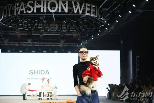 跨越1600公里实现狗狗T台梦！第六届上海宠物时装周启幕，以爱之名共赴时尚盛宴